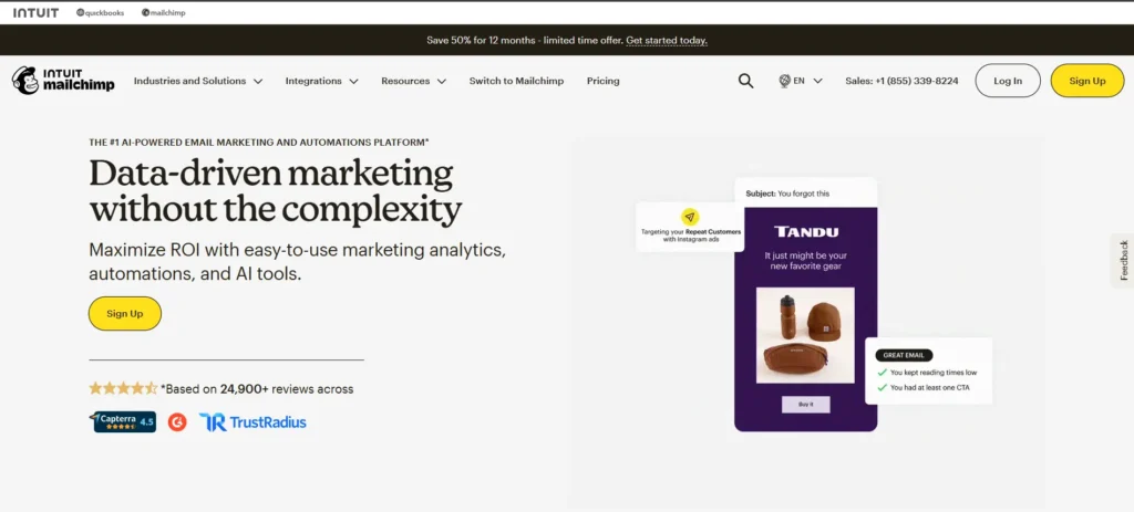 tampilan website mailchimp