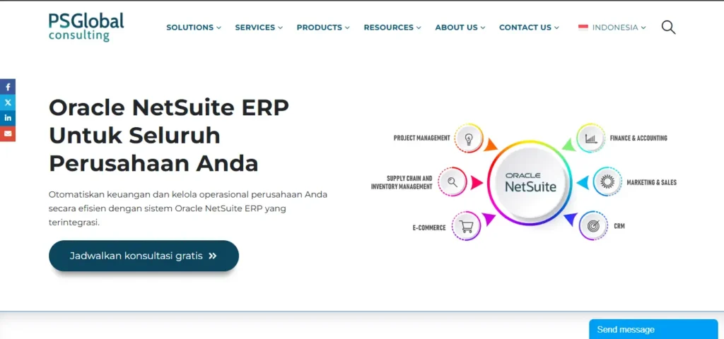 Tampilan Netsuite ERP