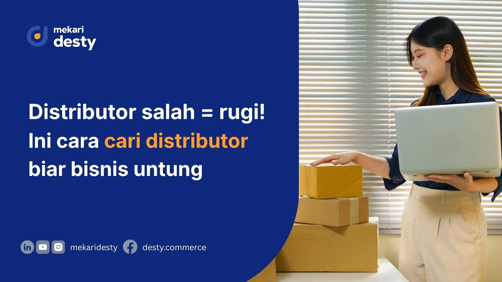 Mekari Desty - Mencari Distributor