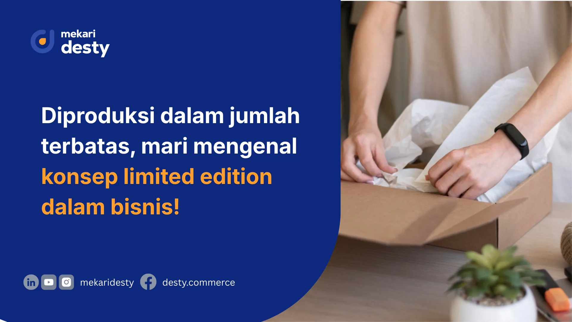 limited edition artinya